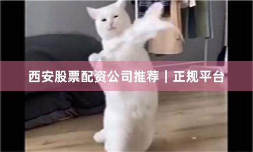 西安股票配资公司推荐|正规平台